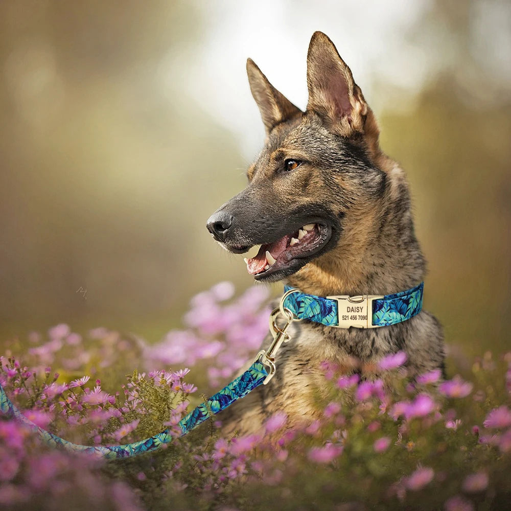 Personalized Floral Dog Collar and Leash Set Custom Small Medium Large Dog Pet ID Collar Lead Flower Print Dog Engraved Collars