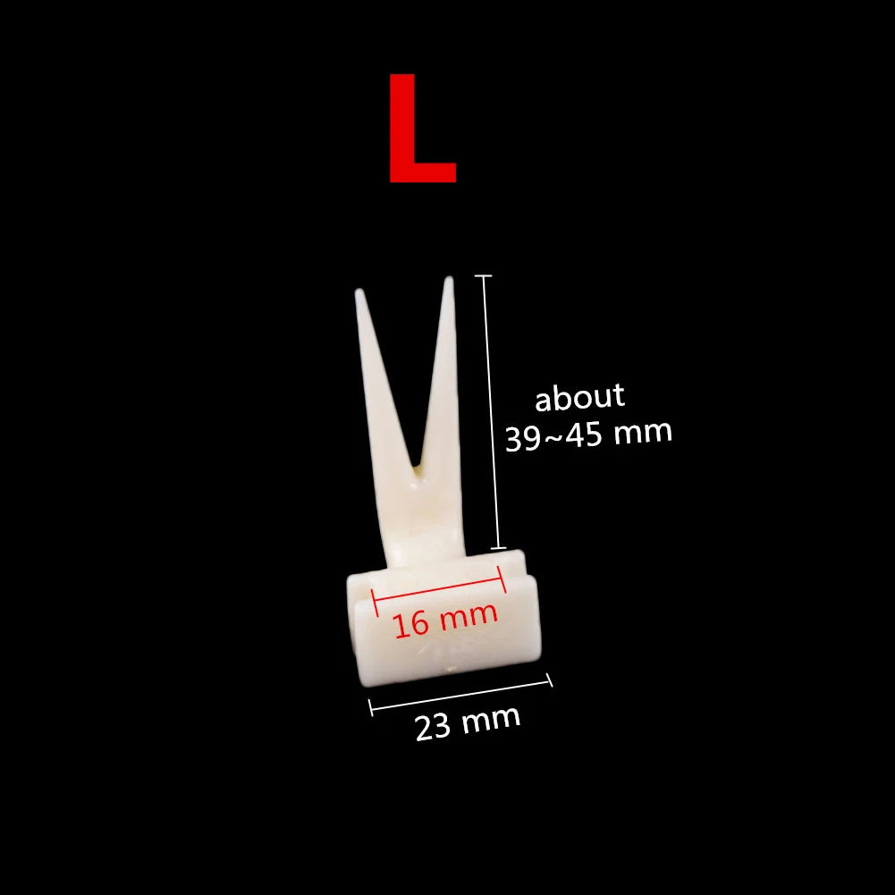 5 Pcs Bird Cage Fruit Fork Parrot Bird Feeder Pet Bird Plastic Food Holder Fruit Snack Fork Feeding Convenient Hamster Feeder