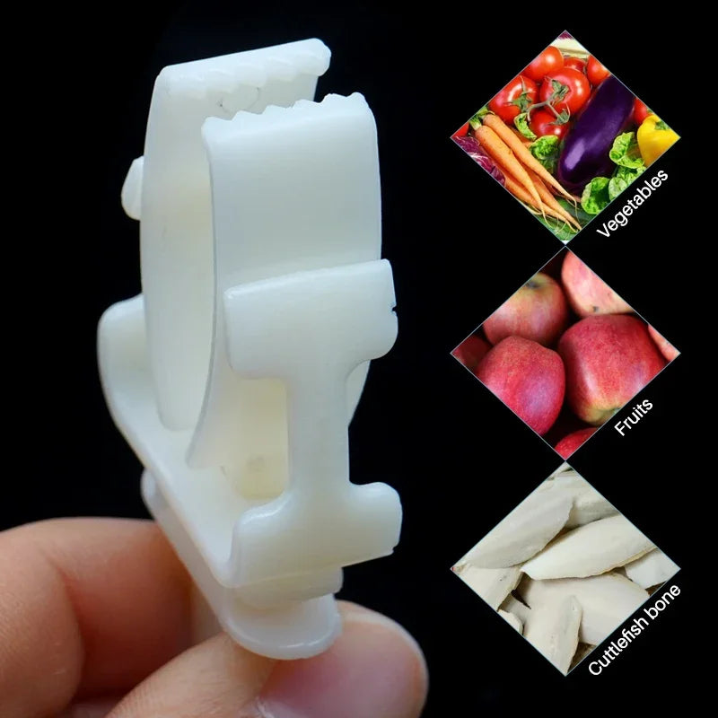 Pet Bird Food Clip Parrot Fruit Vegetables Holder Durable Plastic Clip Cuttlefish Bone Feeder Device Clamp Bird Cage Accessories