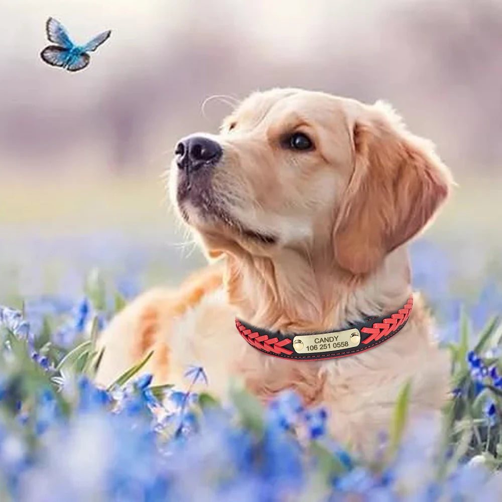 Personalized Dog Collar Custom Pet Puppy Nameplate Collars Free Engraved ID Tag Adjustable For Small Medium Large Dogs Chihuahua