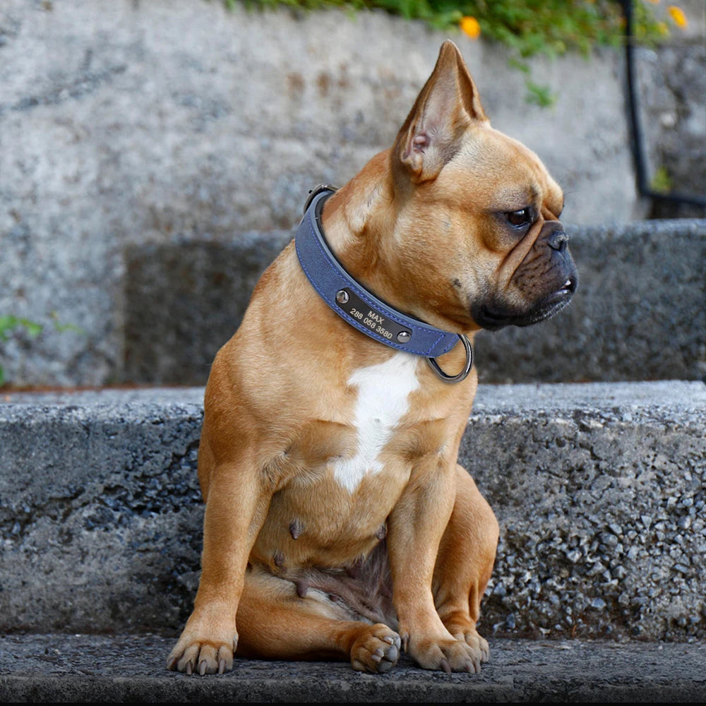 Custom Dog Collar Personalized Small Dogs Leather Collar Engraved Puppy Pet ID Tag Collars Pet Products For French Bulldog Pug