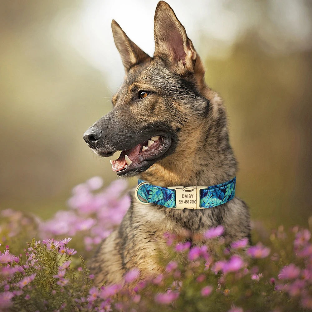 Personalized Floral Dog Collar and Leash Set Custom Small Medium Large Dog Pet ID Collar Lead Flower Print Dog Engraved Collars