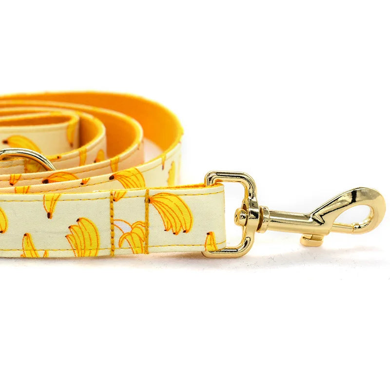 Personalized Banana Pet Collar Puppy Cat ID Tag Adjustable Custom Name Gold Plating Buckle Orange Basic Dog Collars Leash