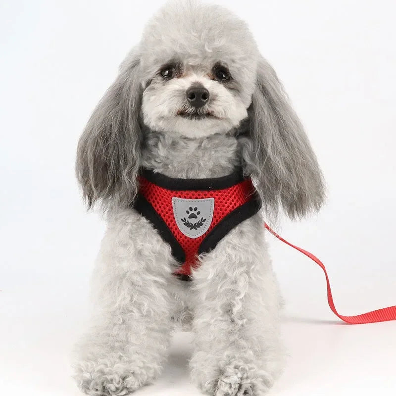 Pet Dog Harness Lead Leather Walking Escape Adjustable Mesh Vest Harness Puppy Collar Suitable For Medium Dog Harness