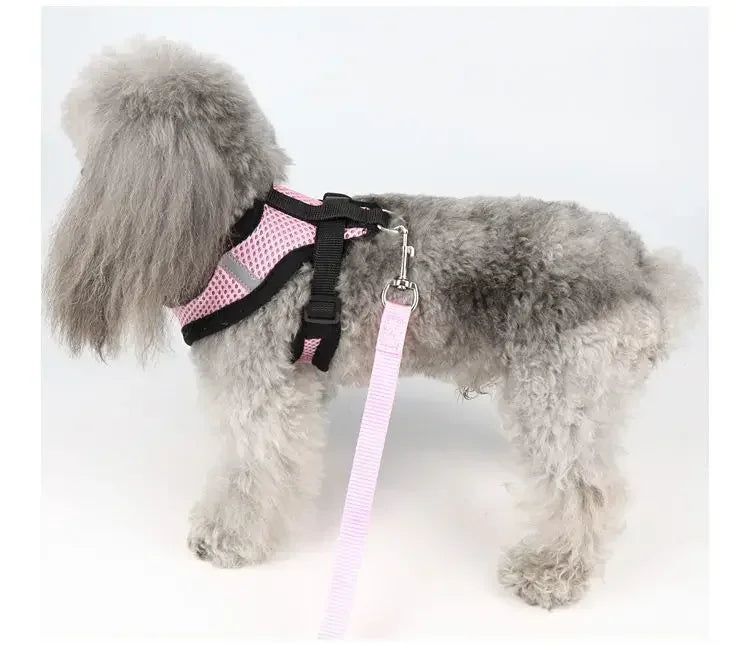 Pet Dog Harness Lead Leather Walking Escape Adjustable Mesh Vest Harness Puppy Collar Suitable For Medium Dog Harness