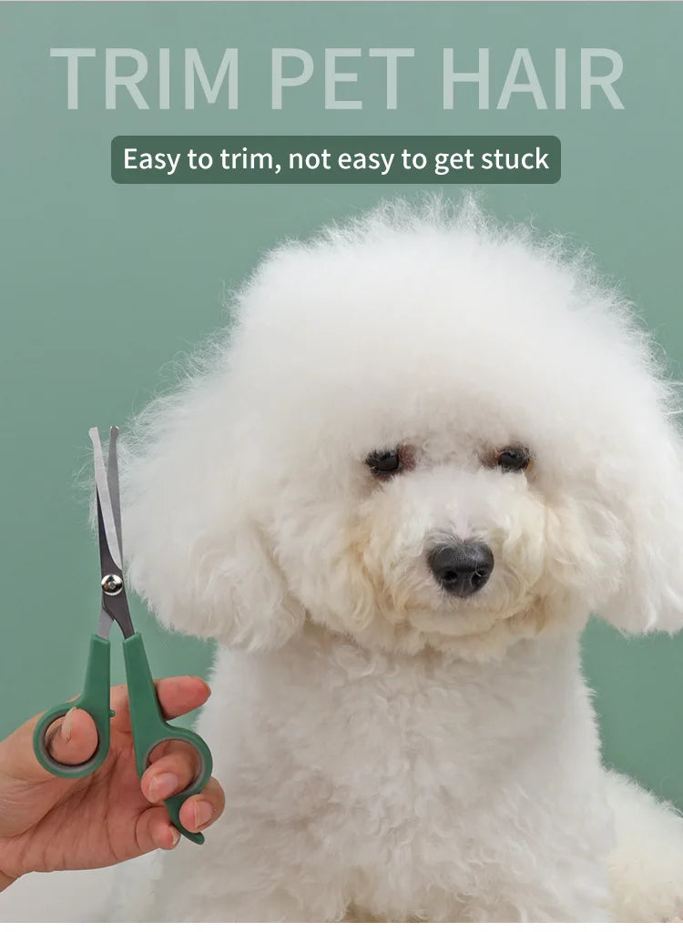 Pet Grooming Scissor Professional Hairdressing Scissors for Dogs Sharp Thinning / Curved Scissors Dog Grooming Beauty Tool