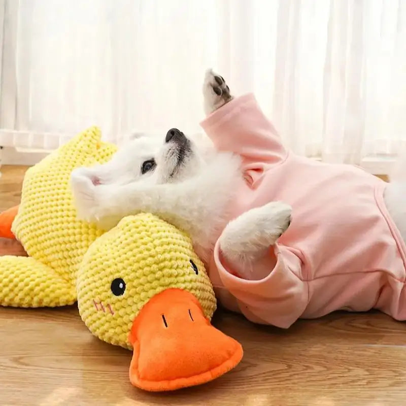 bite resistant Dog toy plush companion sleeping duck teeth grinding sound relief duck sound toy teething dog toys