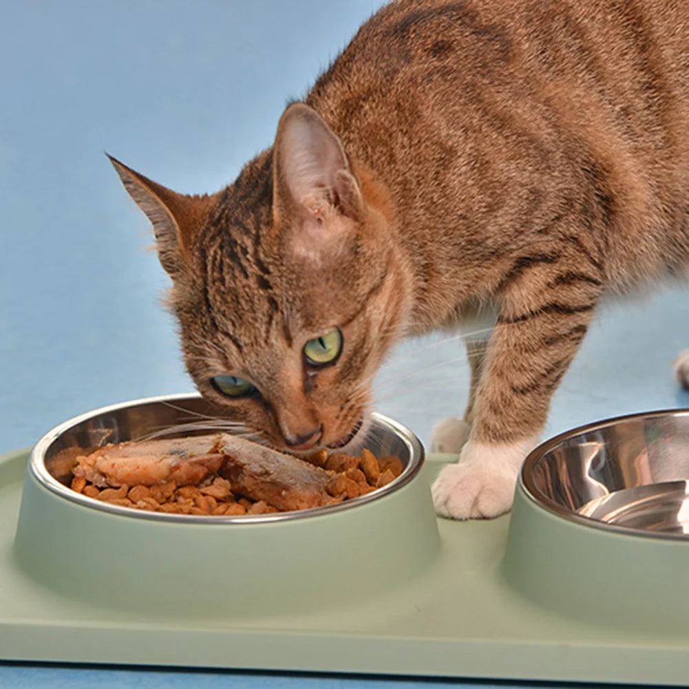 Double Dog Bowl With Silicone Mat Non-Slip Cat Bowl Stainless Steel Water Food Feeder Pet Feeding Drinking Bowls for Dogs Cats
