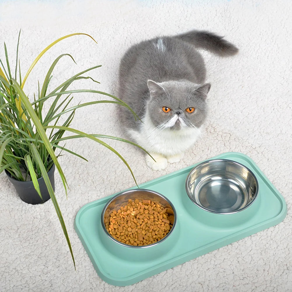 Double Dog Bowl With Silicone Mat Non-Slip Cat Bowl Stainless Steel Water Food Feeder Pet Feeding Drinking Bowls for Dogs Cats