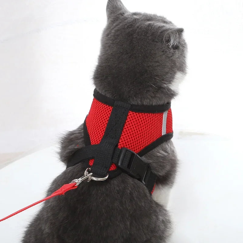 Pet Dog Harness Lead Leather Walking Escape Adjustable Mesh Vest Harness Puppy Collar Suitable For Medium Dog Harness