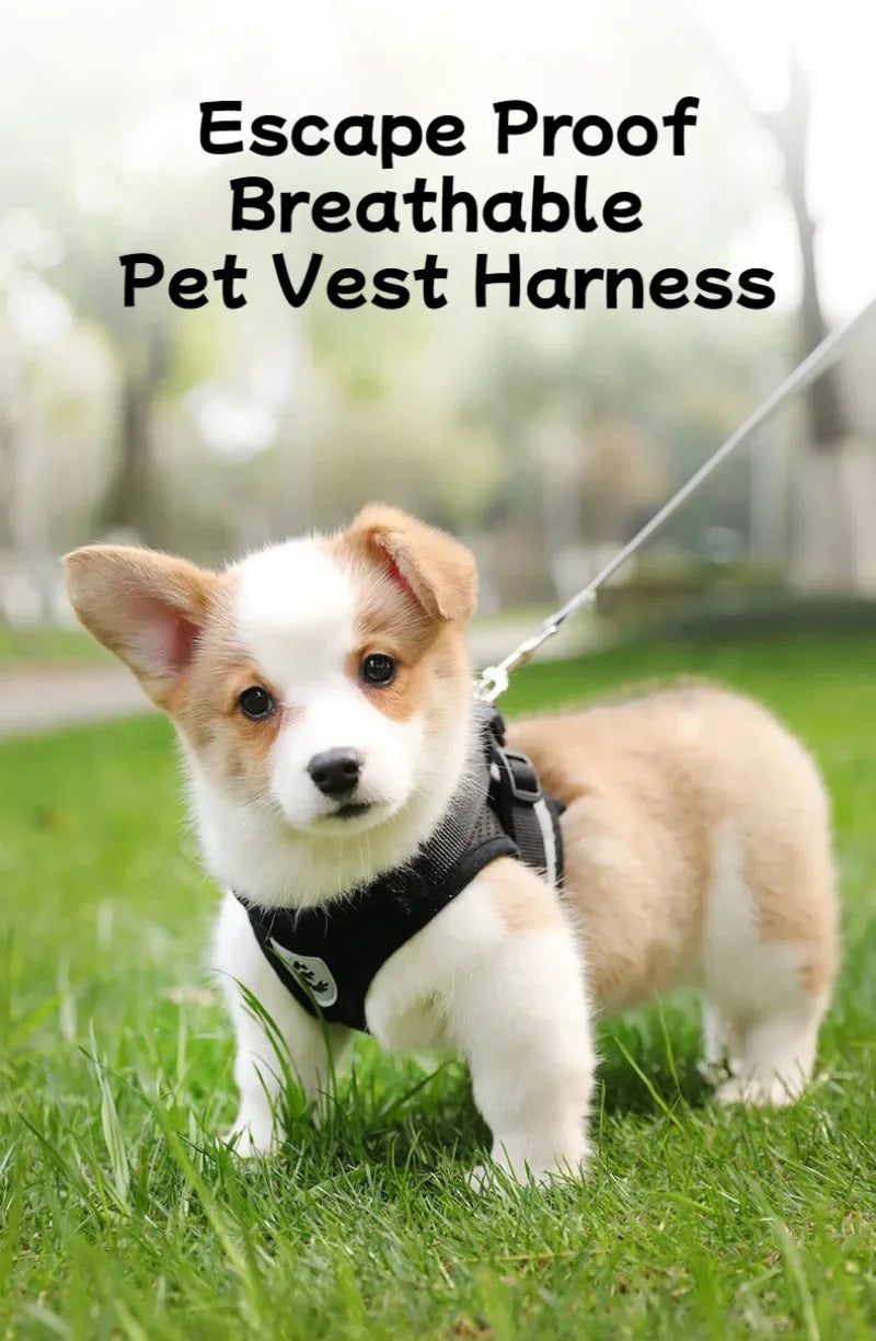 Pet Dog Harness Lead Leather Walking Escape Adjustable Mesh Vest Harness Puppy Collar Suitable For Medium Dog Harness