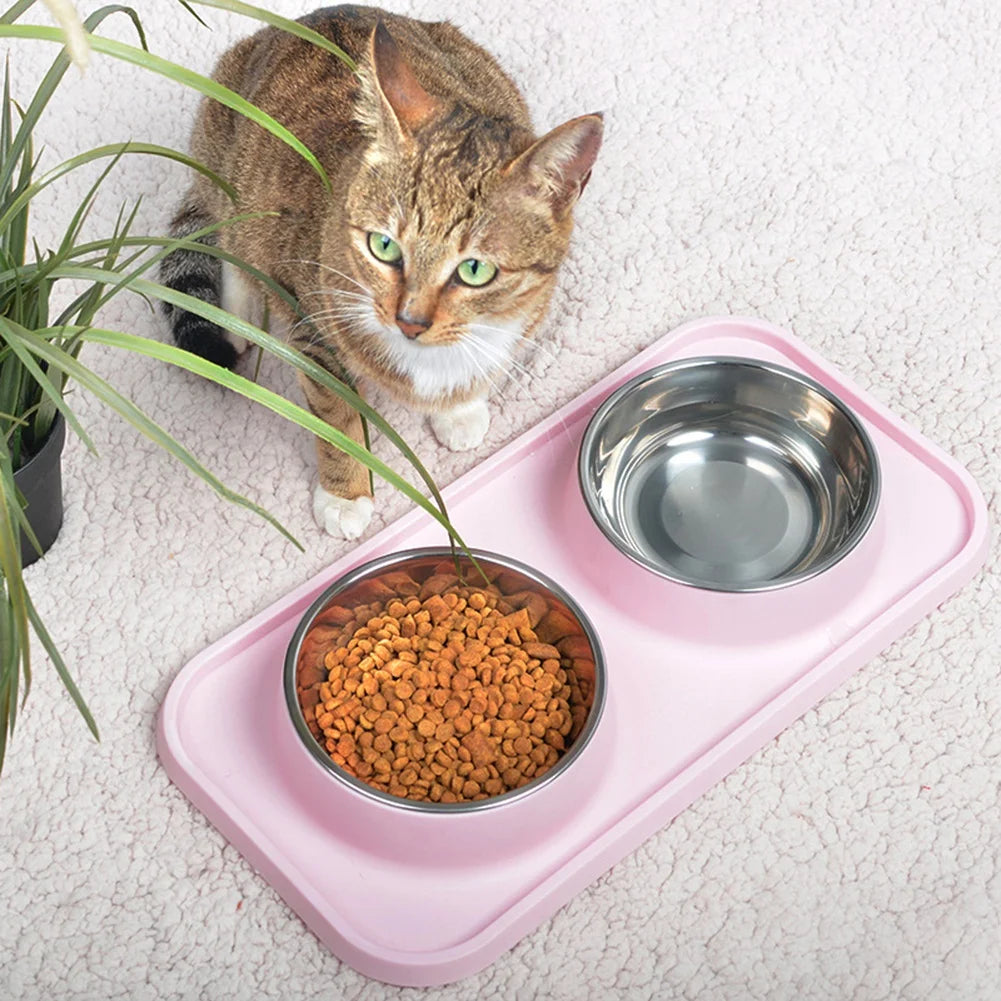 Double Dog Bowl With Silicone Mat Non-Slip Cat Bowl Stainless Steel Water Food Feeder Pet Feeding Drinking Bowls for Dogs Cats