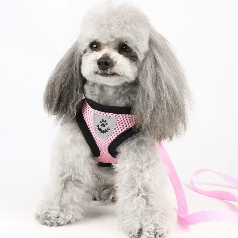 Pet Dog Harness Lead Leather Walking Escape Adjustable Mesh Vest Harness Puppy Collar Suitable For Medium Dog Harness