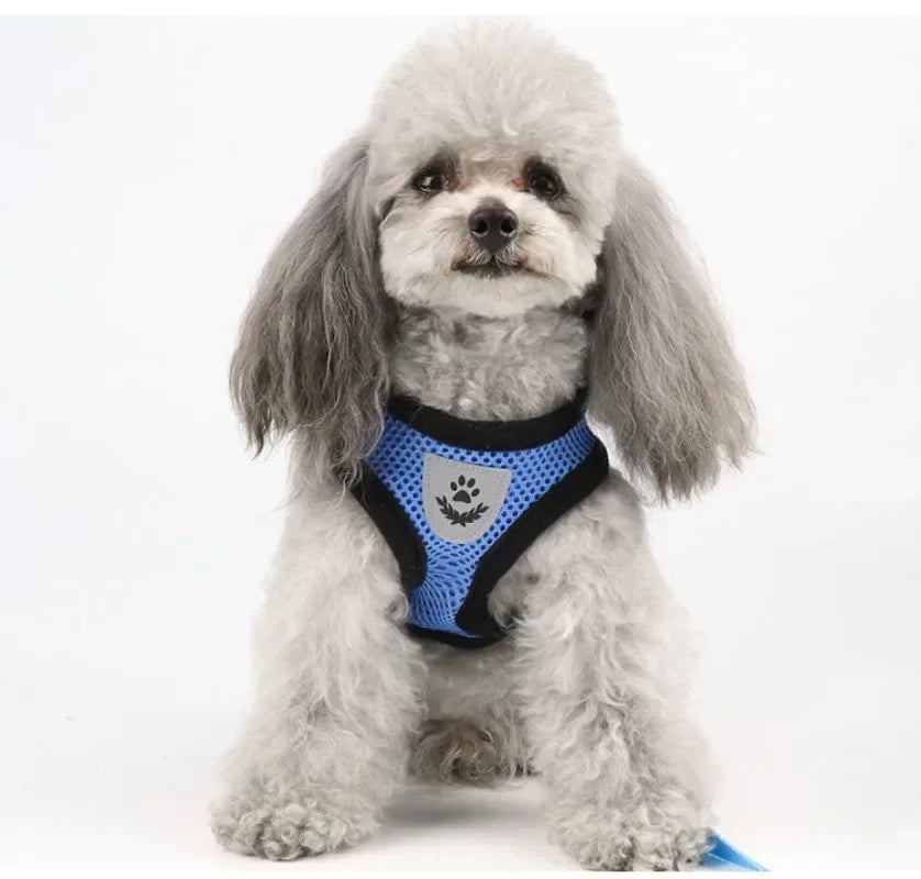 Pet Dog Harness Lead Leather Walking Escape Adjustable Mesh Vest Harness Puppy Collar Suitable For Medium Dog Harness