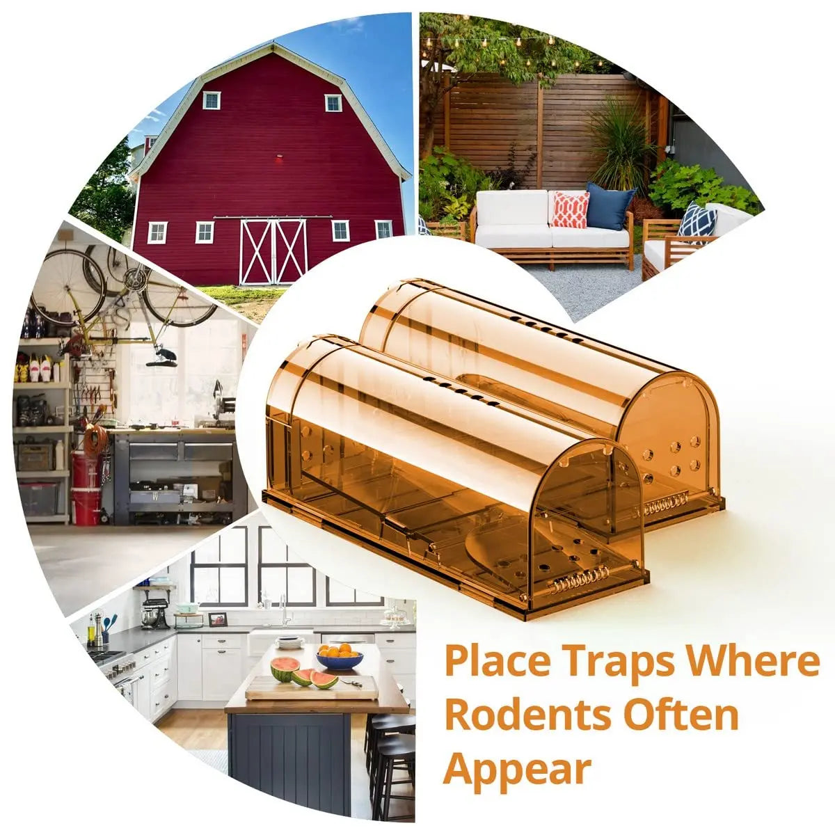 1Pc Mouse Trap Cage No Kill Animal Pet Control Cage Reusable Mice Rodent Catcher Rat Trap