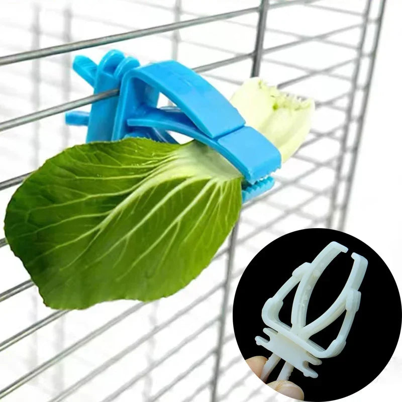 Pet Bird Food Clip Parrot Fruit Vegetables Holder Durable Plastic Clip Cuttlefish Bone Feeder Device Clamp Bird Cage Accessories