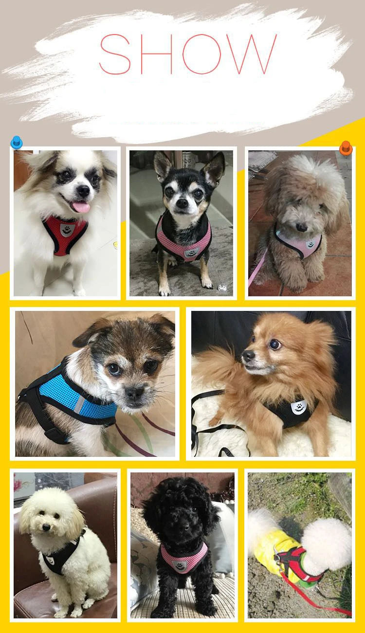 Pet Dog Harness Lead Leather Walking Escape Adjustable Mesh Vest Harness Puppy Collar Suitable For Medium Dog Harness